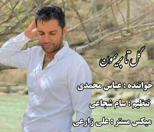 عباس محمدی گل تا بریمون